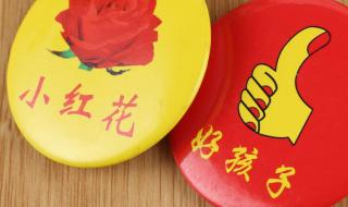 请问图片中小红花的花名叫什么 小红花图片