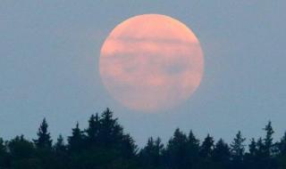 血月代表什么预兆?