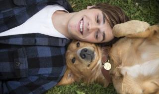 狗为伴侣动物拟禁食 狗为伴侣动物拟禁食