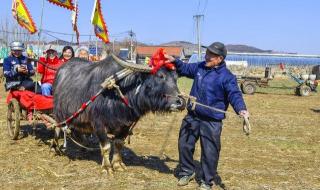2024年山东统一中考改革方案 山东日照2024年大案
