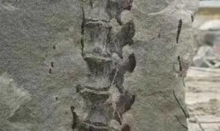 四川省国土资源厅