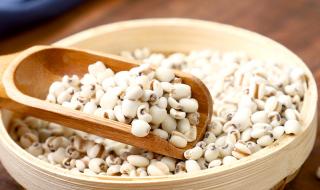 薏米的产地 薏米的产地