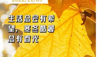 2022年接近尾声的说说