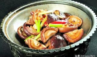 银耳之乡是哪里 香菇之乡在哪浙江