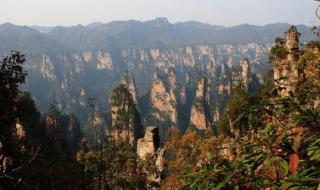 上海中山公园十大景点 中山旅游景点大全