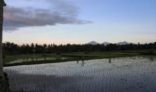 皇太子的初恋吻戏是哪集 皇太子的初恋演员表