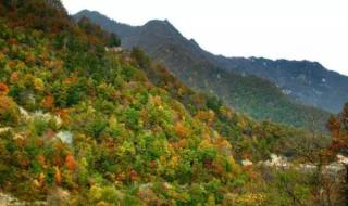 太平国家森林公园瀑布怎么去 太平国家森林公园