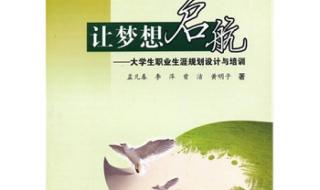 职业生涯规划计划执行怎么写 大学生职业生涯设计