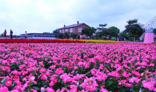 求指点！从化仙沐园温泉跟碧泉湾温泉度假村选哪个好 中山仙沐园温泉
