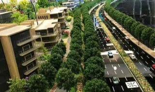 松山湖梦幻百花洲什么时候最好 梦幻百花洲游玩攻略