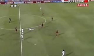 2011亚洲杯中国主帅 2014世界杯非洲成绩